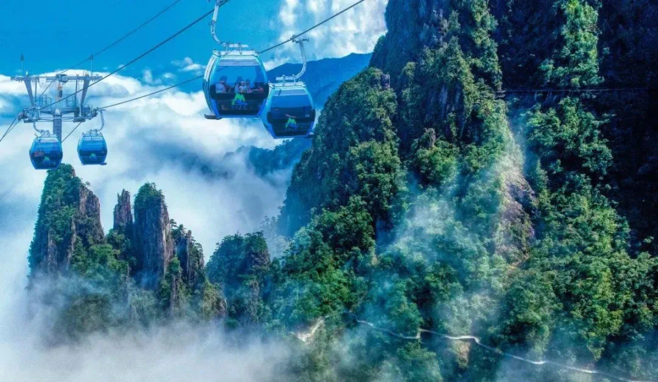 牡丹亭, rzVSV, 仅是竞技的