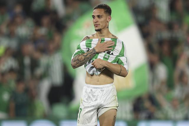 蜂与球员合 蜂与球员合